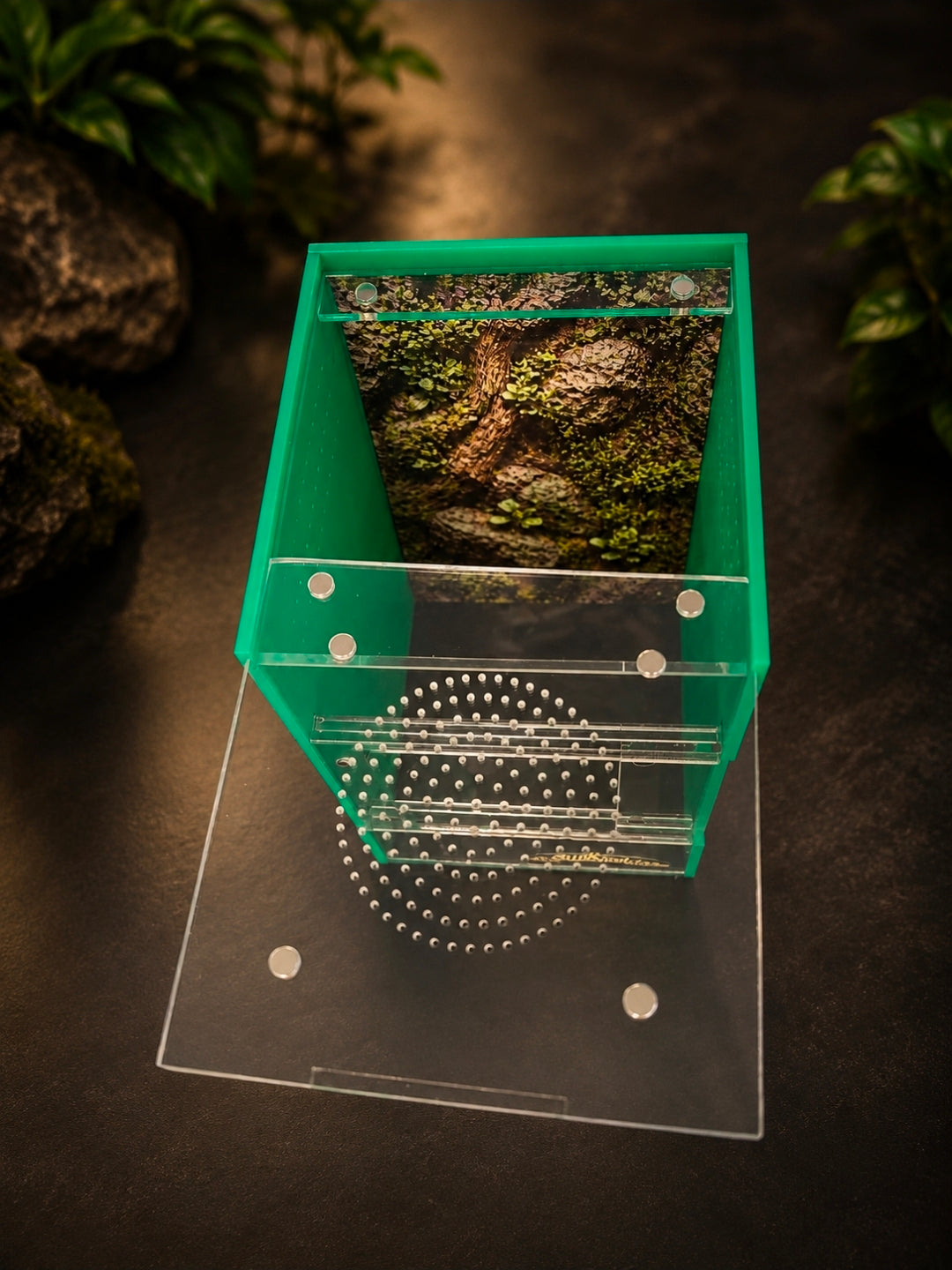 SilkNook Standard Jumping Spider Enclosure