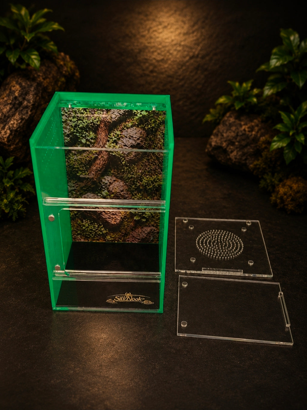 SilkNook Standard Jumping Spider Enclosure