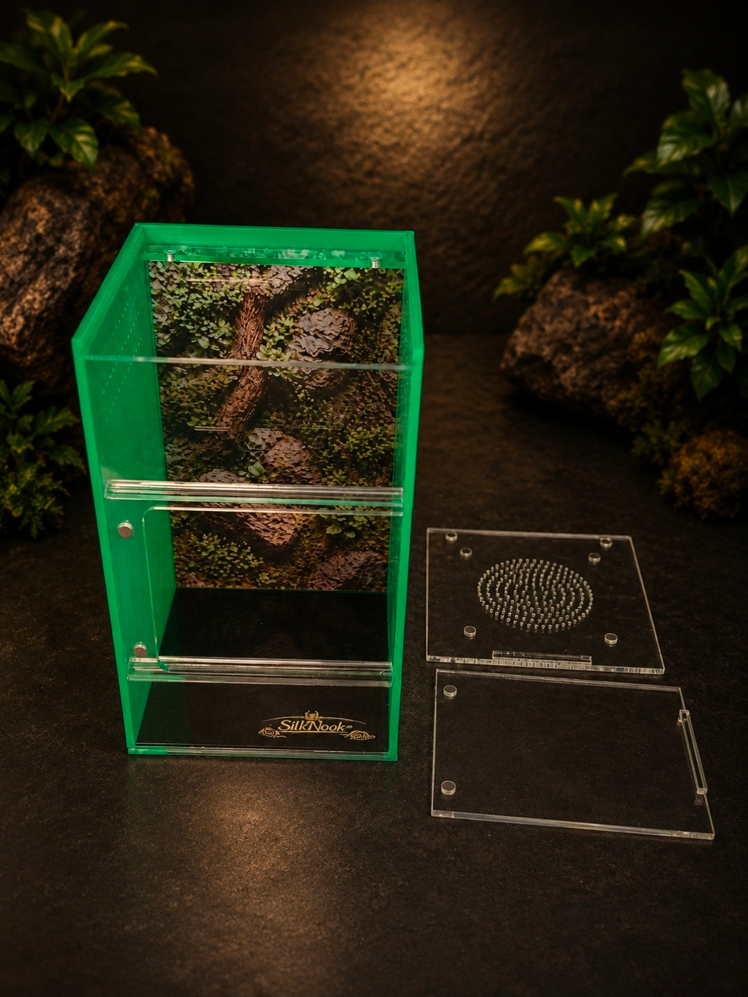 SilkNook Standard Jumping Spider Enclosure