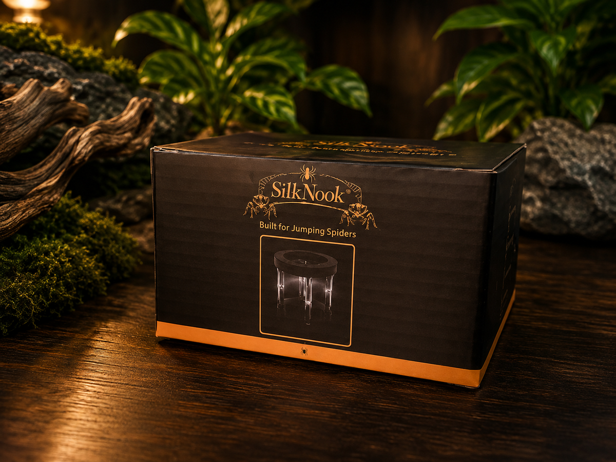 A black product box for the SilkNook, featuring gold lettering and an illustration of a jumping spider, set on a dark wooden table with moss and plants in the background.