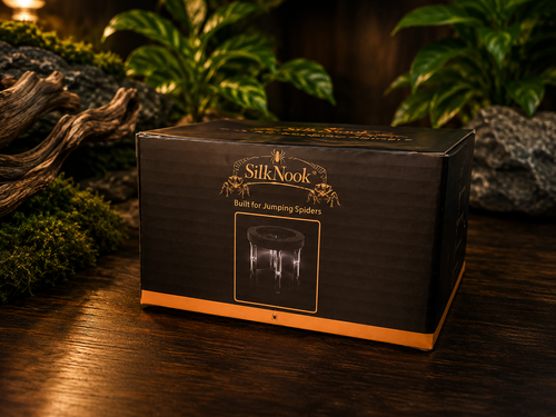 A black product box for the SilkNook, featuring gold lettering and an illustration of a jumping spider, set on a dark wooden table with moss and plants in the background.