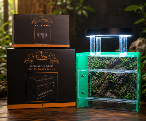 Silk Nook jumping spider enclosure with packaging boxes displayed on a wooden surface. The clear acrylic enclosure features green privacy side panels, a natural dark forest background, a clear top with upper and cross ventilation for maximum airflow, and an illuminated white magnetic LED light above.