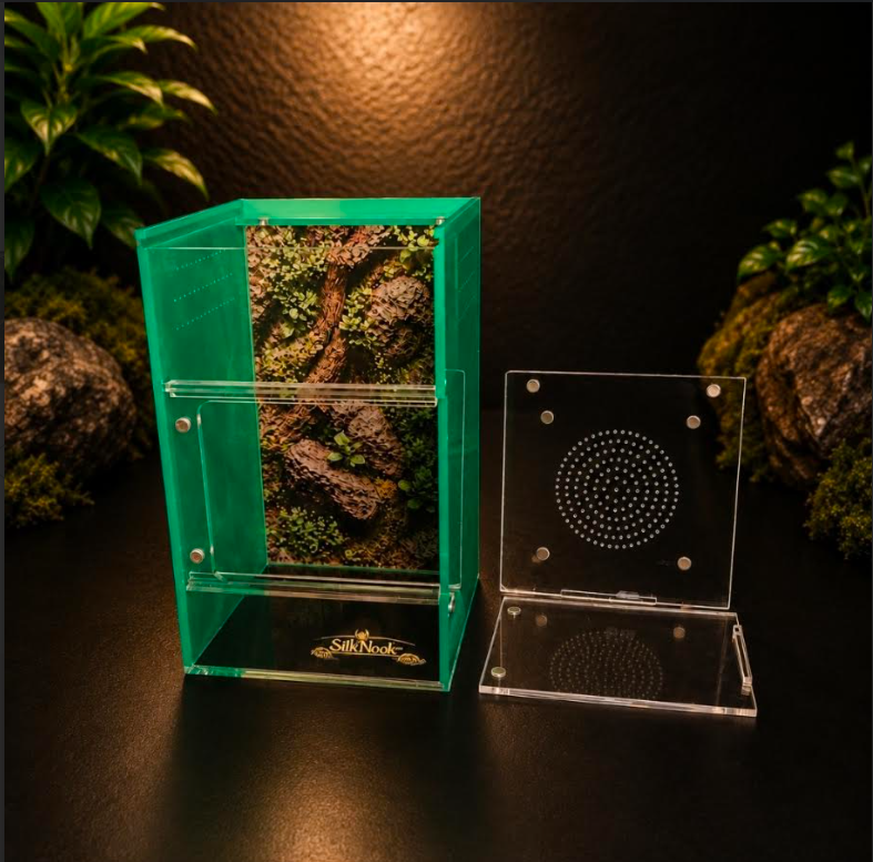 SilkNook Standard jumping spider enclosure with green privacy side panels, natural forest background, clear front access, and removable ventilated top and front panel with magnetic closures.