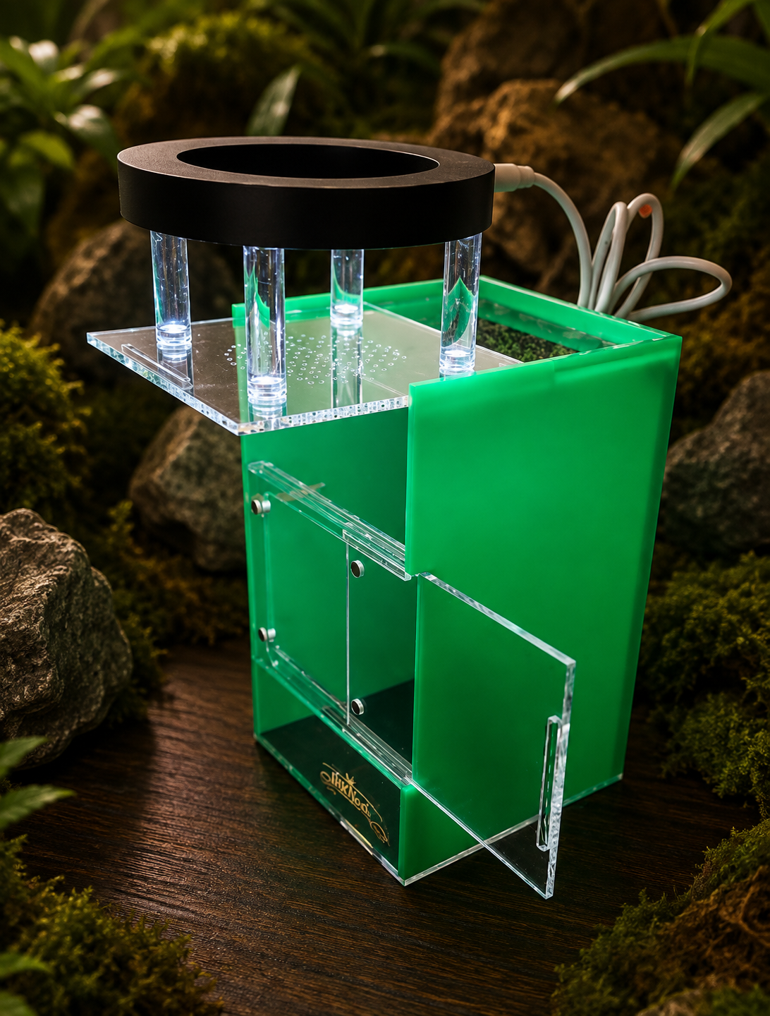 SilkNook jumping spider enclosure with green privacy side panels, clear front access, upper ventilation, natural forest background, and illuminated magnetic LED light.