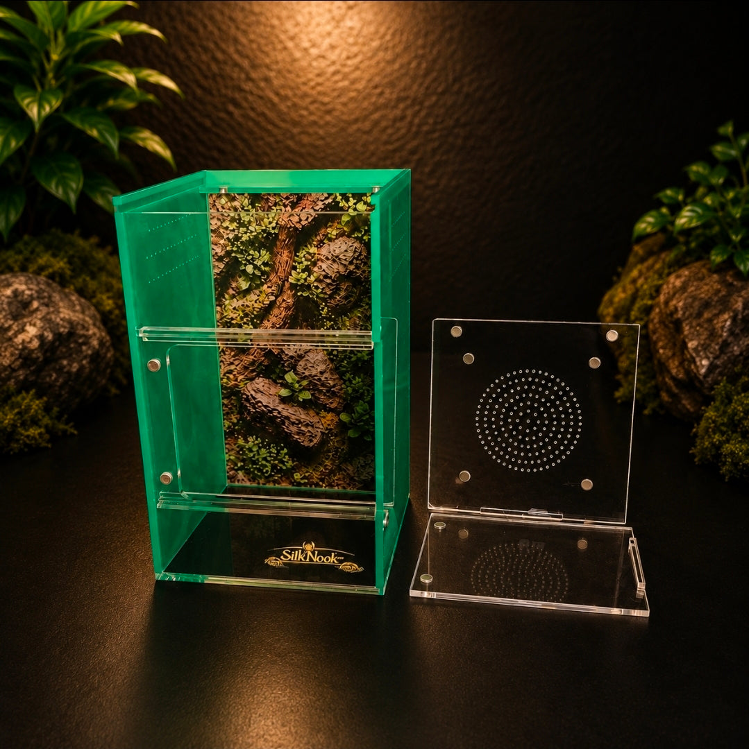 SilkNook Standard Jumping Spider Enclosure